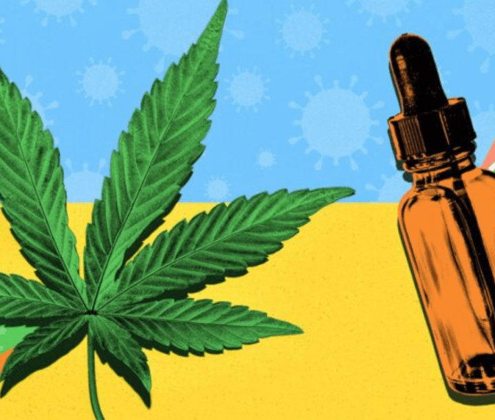 Why Your Business Needs Marijuana Credit Card Processing from&nbsp;GreenLink